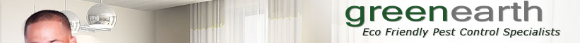 Eco Friendly Pest Control Specialists